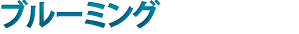 õ